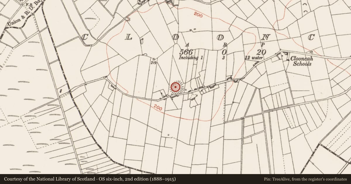 Ordnance Survey six-inch map, 2nd edition (1888–1915) covering the location of Ringfort - rath, Clooncah, County Roscommon, with a pin at the register's coordinates