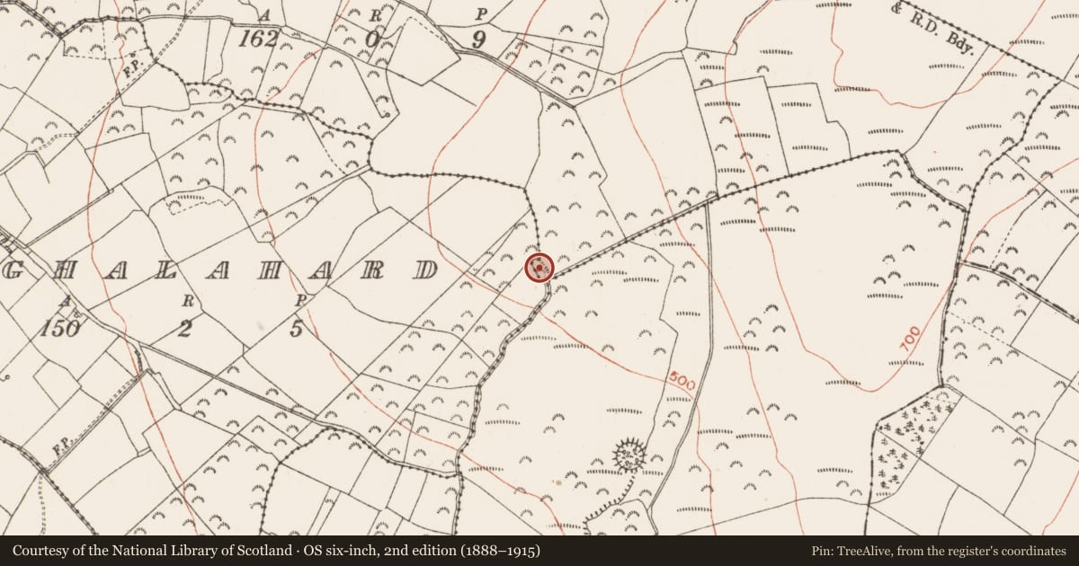 Ordnance Survey six-inch map, 2nd edition (1888–1915) covering the location of Earthwork, Aghaclogher, Reagh, County Roscommon, with a pin at the register's coordinates