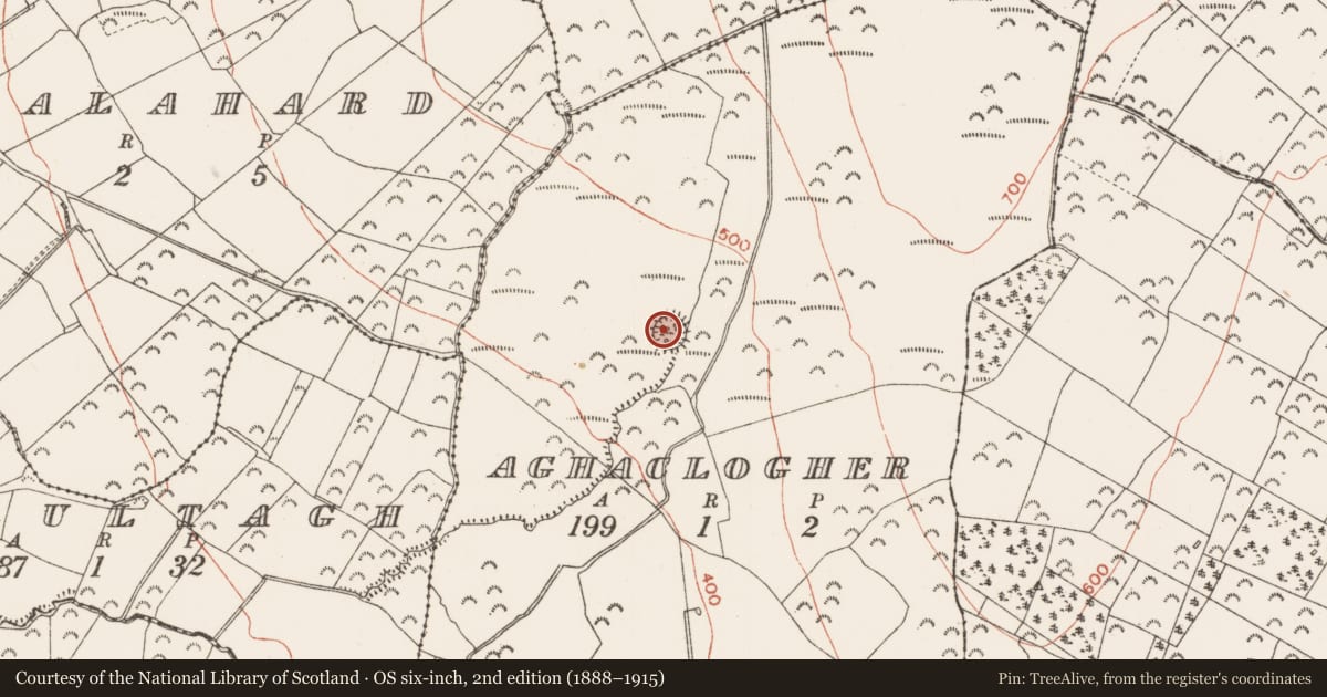 Ordnance Survey six-inch map, 2nd edition (1888–1915) covering the location of Ringfort - rath, Aghaclogher, County Roscommon, with a pin at the register's coordinates