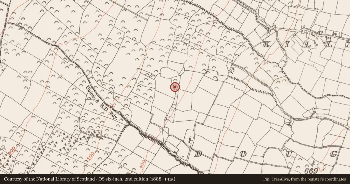 Ordnance Survey six-inch map, 2nd edition (1888–1915) covering the location of Ringfort - rath, Doughil, County Roscommon, with a pin at the register's coordinates