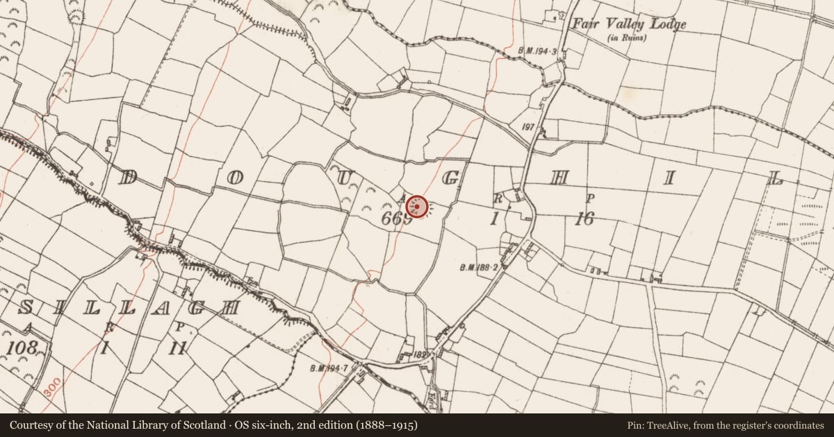 Ordnance Survey six-inch map, 2nd edition (1888–1915) covering the location of Ringfort - rath, Doughil, County Roscommon, with a pin at the register's coordinates