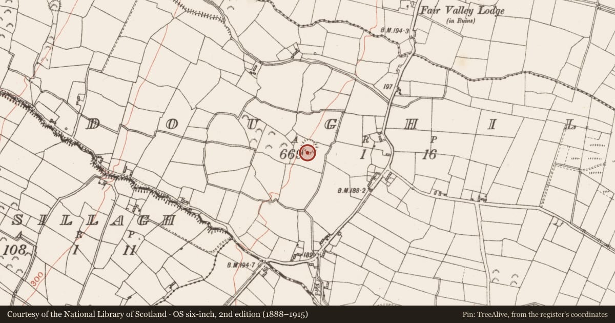 Ordnance Survey six-inch map, 2nd edition (1888–1915) covering the location of Enclosure, Doughil, County Roscommon, with a pin at the register's coordinates