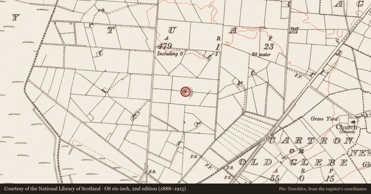 Ordnance Survey six-inch map, 2nd edition (1888–1915) covering the location of Ringfort - rath, Tuam, County Roscommon, with a pin at the register's coordinates