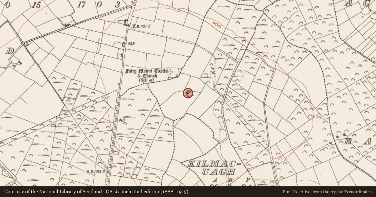 Ordnance Survey six-inch map, 2nd edition (1888–1915) covering the location of Barrow - ring-barrow, Kilmacuagh, County Roscommon, with a pin at the register's coordinates