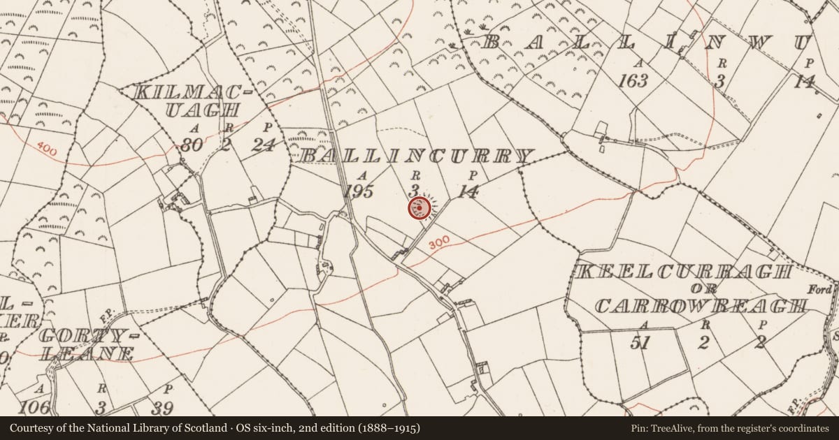 Ordnance Survey six-inch map, 2nd edition (1888–1915) covering the location of Ringfort - rath, Ballincurry, County Roscommon, with a pin at the register's coordinates