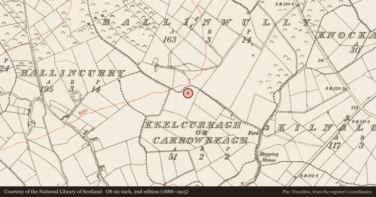 Ordnance Survey six-inch map, 2nd edition (1888–1915) covering the location of Enclosure, Keelcurragh Or Carrowreagh, Ballinwully, County Roscommon, with a pin at the register's coordinates