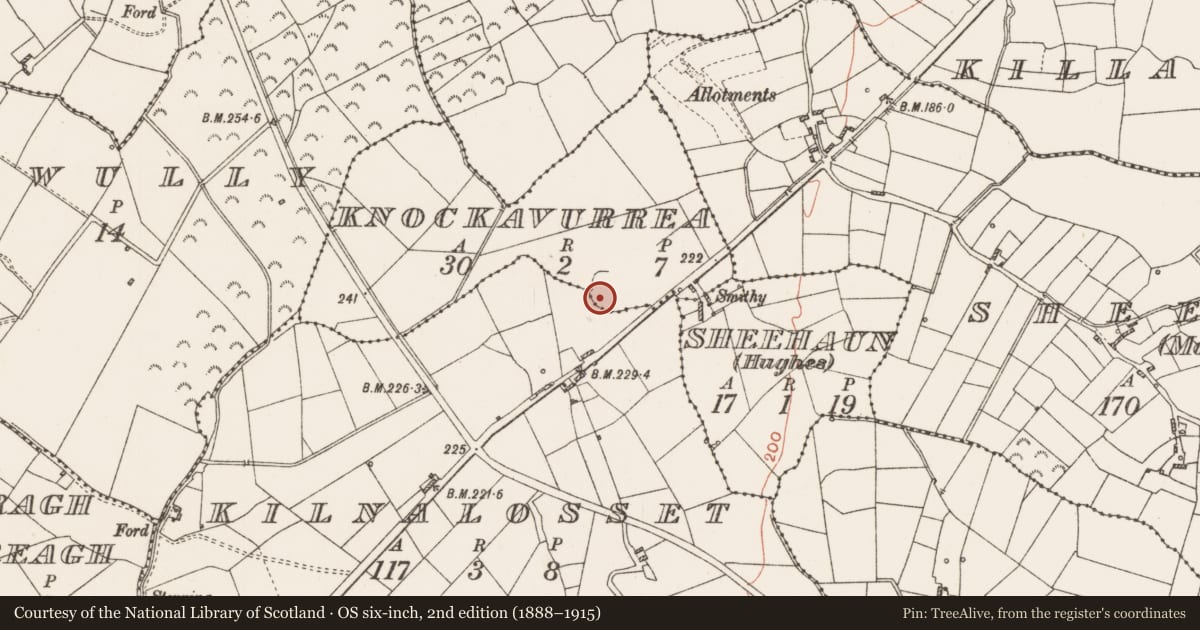 Ordnance Survey six-inch map, 2nd edition (1888–1915) covering the location of Earthwork, Kilnalosset, Knockavurrea, County Roscommon, with a pin at the register's coordinates