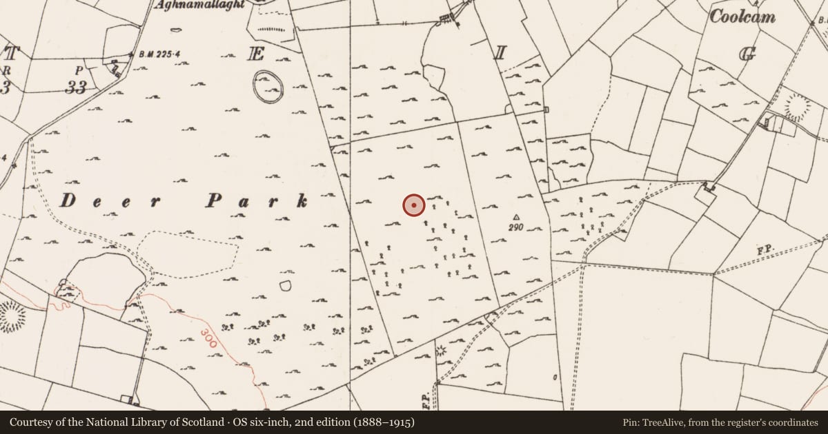 Ordnance Survey six-inch map, 2nd edition (1888–1915) covering the location of Road - road/trackway, Coolteige, County Roscommon, with a pin at the register's coordinates