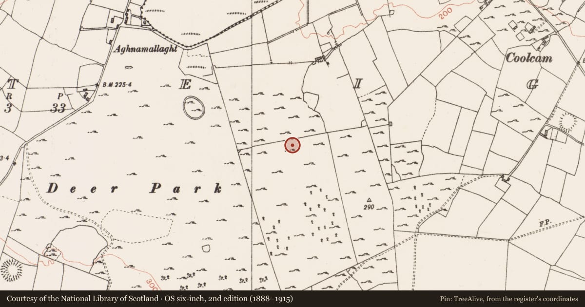 Ordnance Survey six-inch map, 2nd edition (1888–1915) covering the location of Ringfort - cashel, Coolteige, County Roscommon, with a pin at the register's coordinates