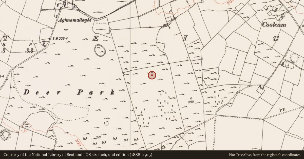Ordnance Survey six-inch map, 2nd edition (1888–1915) covering the location of Field system, Coolteige, County Roscommon, with a pin at the register's coordinates