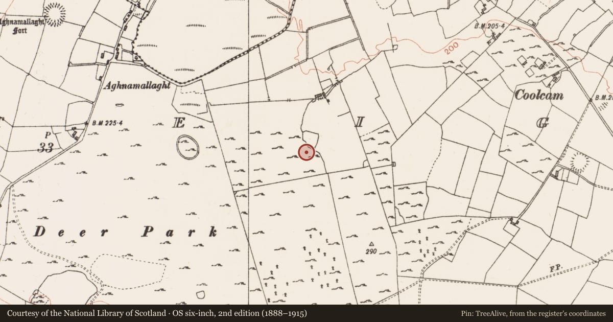 Ordnance Survey six-inch map, 2nd edition (1888–1915) covering the location of House - indeterminate date, Coolteige, County Roscommon, with a pin at the register's coordinates