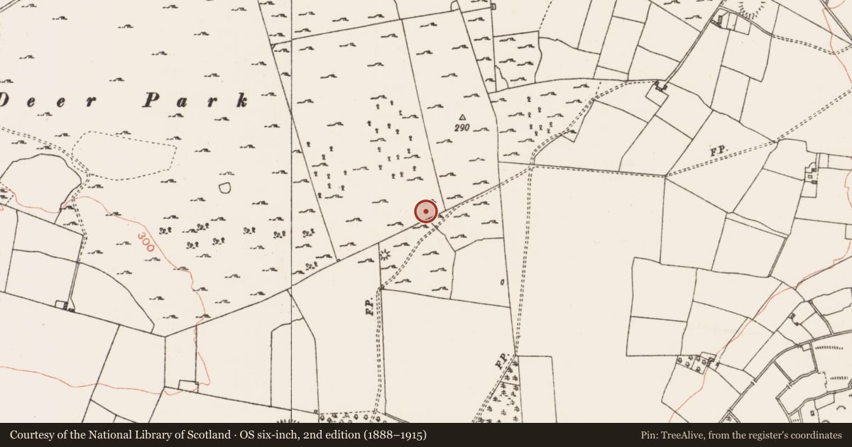Ordnance Survey six-inch map, 2nd edition (1888–1915) covering the location of Ringfort - cashel, Coolteige, County Roscommon, with a pin at the register's coordinates