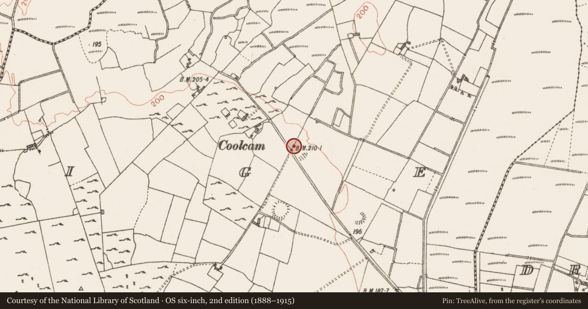 Ordnance Survey six-inch map, 2nd edition (1888–1915) covering the location of Ringfort - rath, Coolteige, County Roscommon, with a pin at the register's coordinates