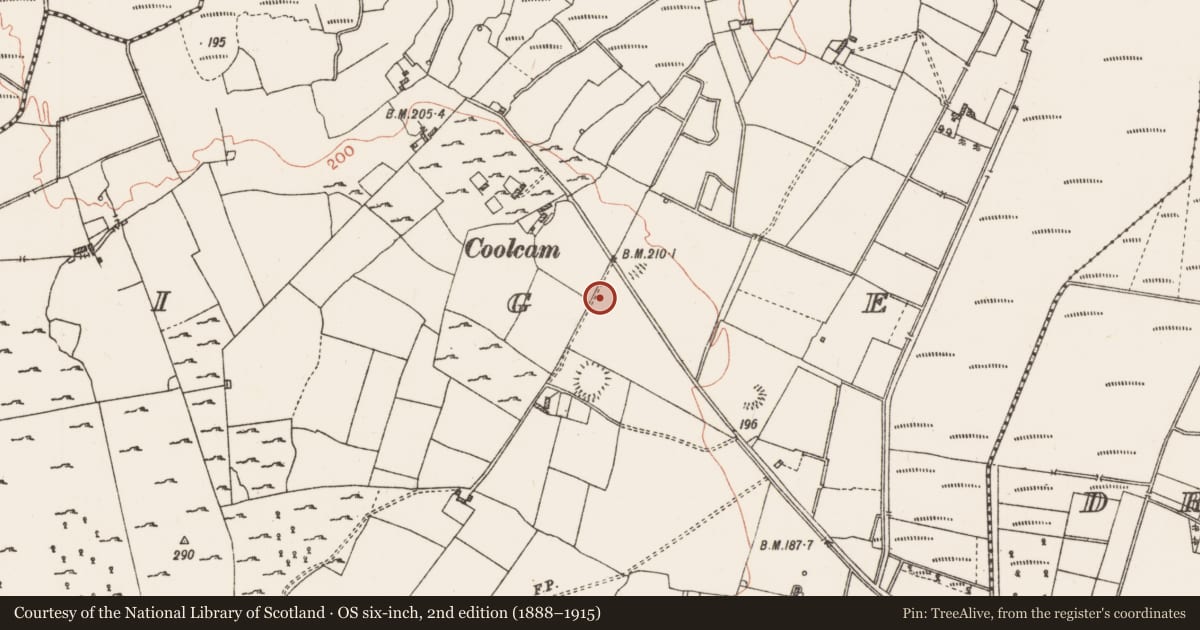 Ordnance Survey six-inch map, 2nd edition (1888–1915) covering the location of Ringfort - rath, Coolteige, County Roscommon, with a pin at the register's coordinates