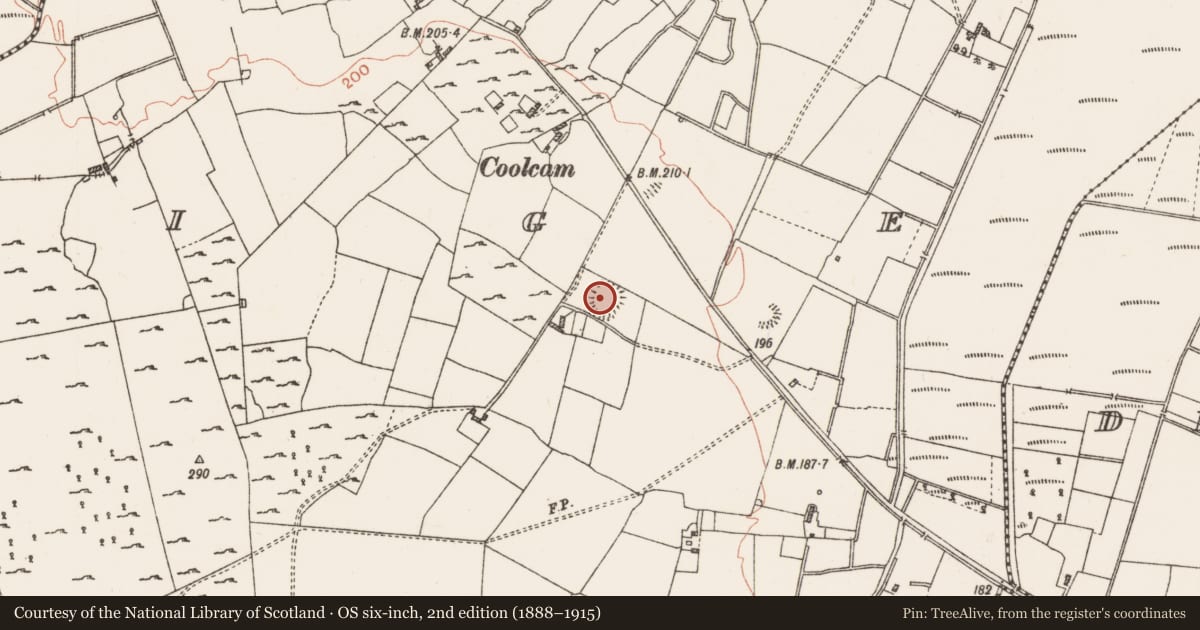Ordnance Survey six-inch map, 2nd edition (1888–1915) covering the location of Ringfort - rath, Coolteige, County Roscommon, with a pin at the register's coordinates