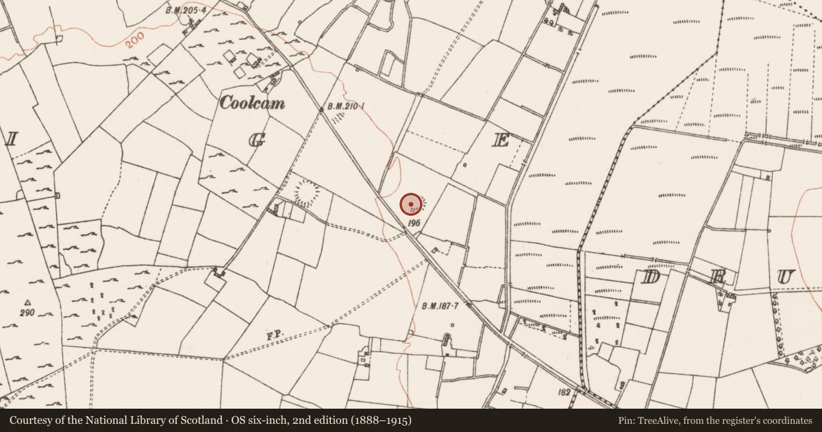 Ordnance Survey six-inch map, 2nd edition (1888–1915) covering the location of Ringfort - rath, Coolteige, County Roscommon, with a pin at the register's coordinates