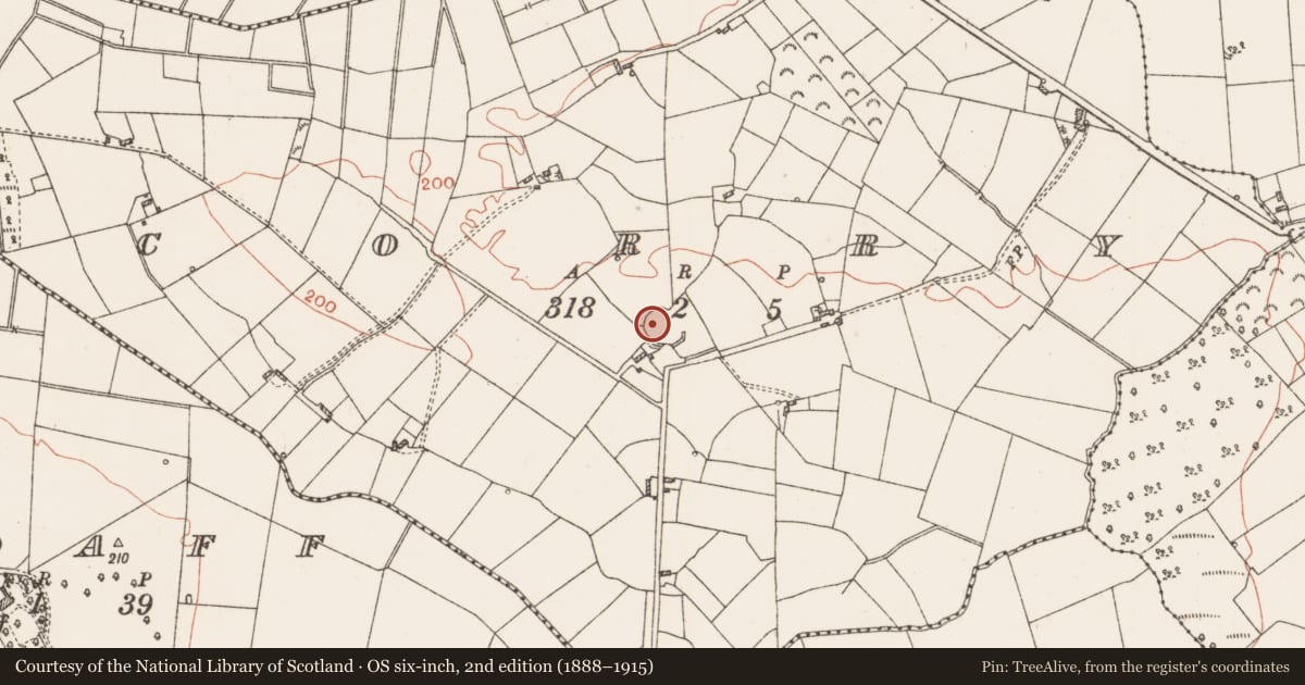 Ordnance Survey six-inch map, 2nd edition (1888–1915) covering the location of Ringfort - rath, Corry, County Roscommon, with a pin at the register's coordinates