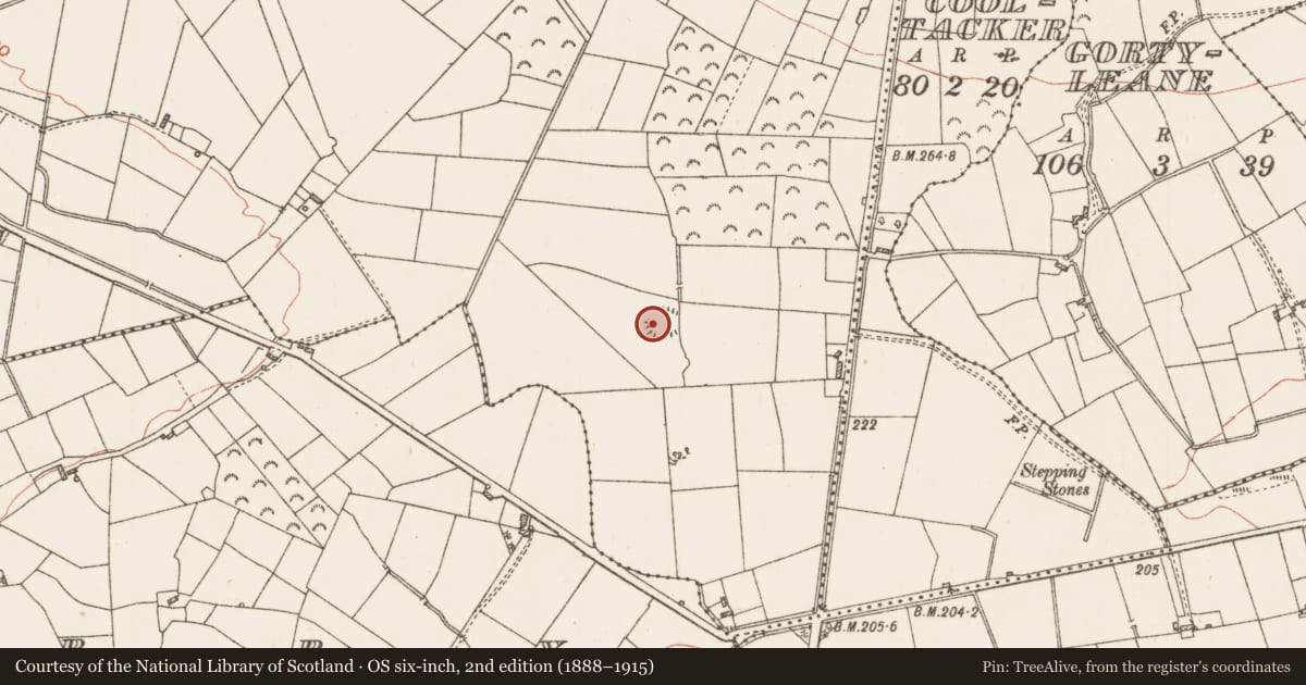 Ordnance Survey six-inch map, 2nd edition (1888–1915) covering the location of Ringfort - rath, Fairymount, County Roscommon, with a pin at the register's coordinates