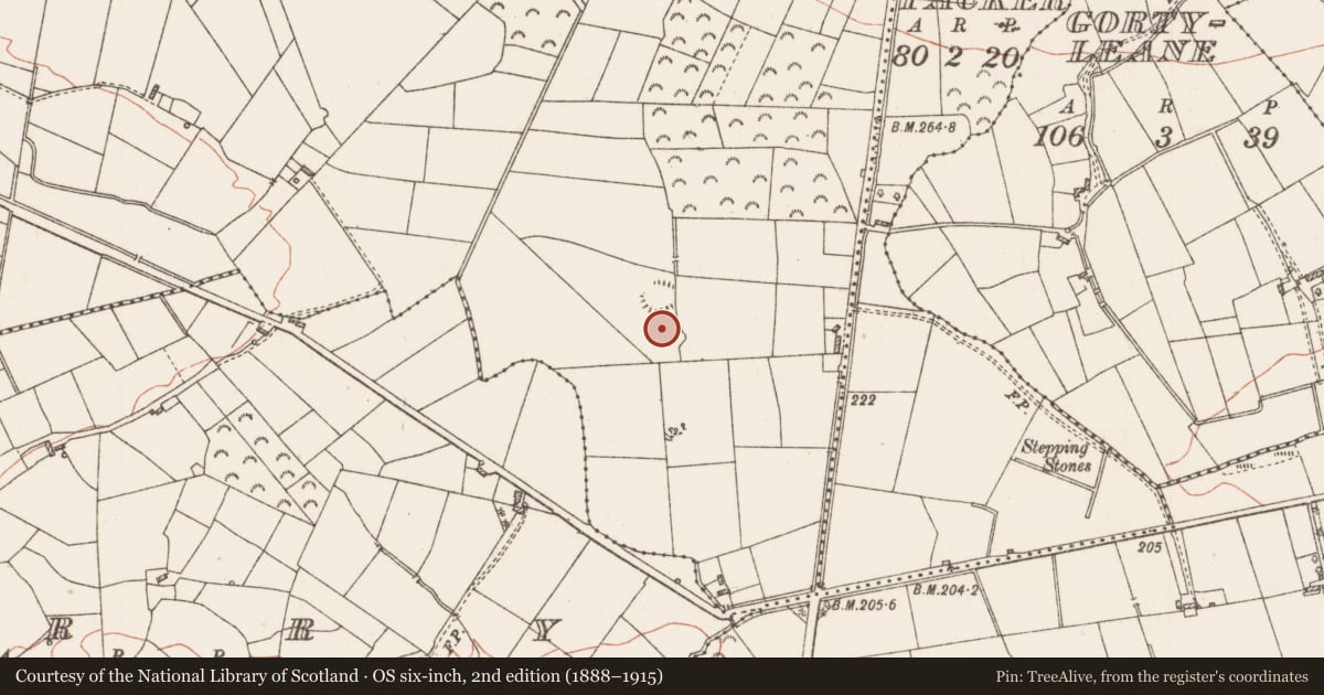 Ordnance Survey six-inch map, 2nd edition (1888–1915) covering the location of Earthwork, Fairymount, County Roscommon, with a pin at the register's coordinates