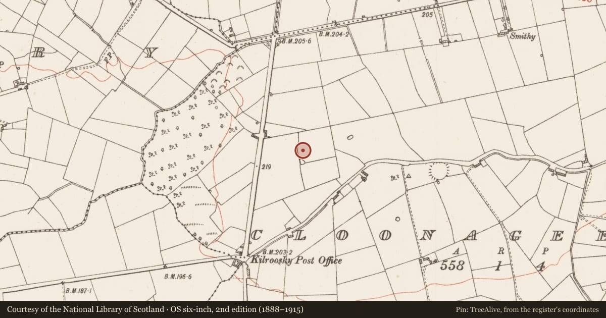 Ordnance Survey six-inch map, 2nd edition (1888–1915) covering the location of Ringfort - rath, Cloonageeragh, County Roscommon, with a pin at the register's coordinates