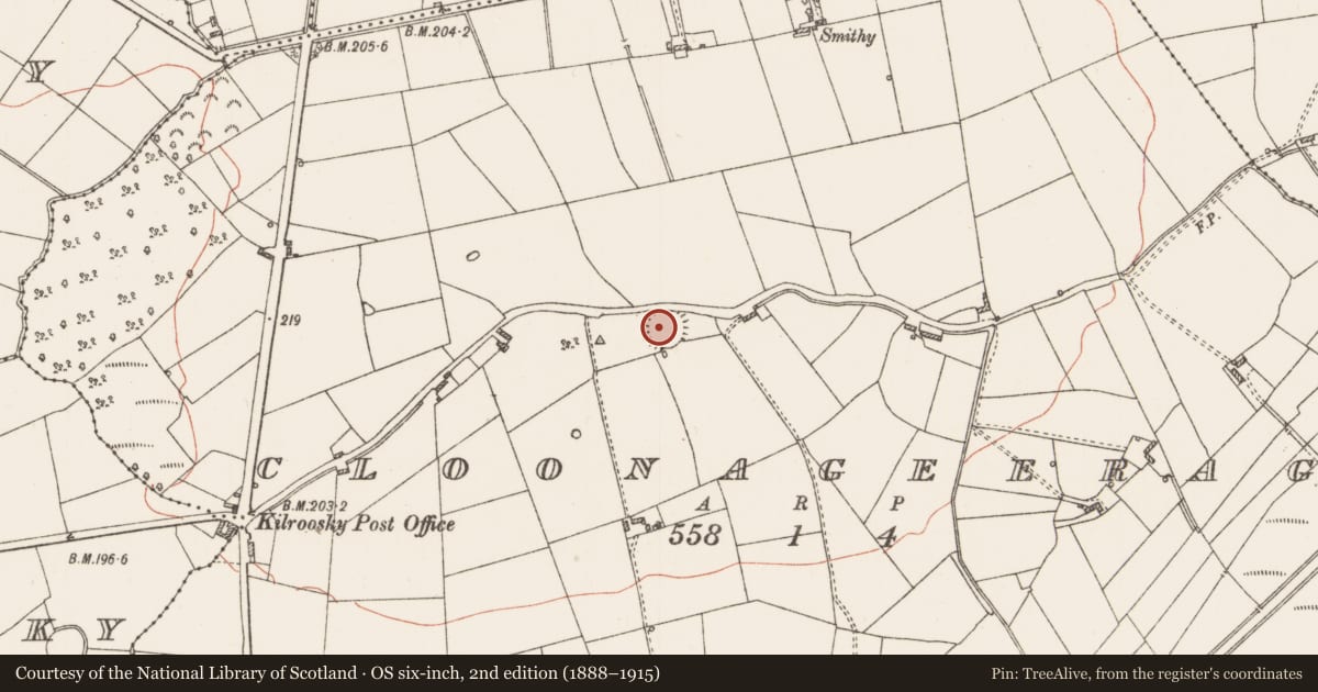 Ordnance Survey six-inch map, 2nd edition (1888–1915) covering the location of Ringfort - rath, Cloonageeragh, County Roscommon, with a pin at the register's coordinates
