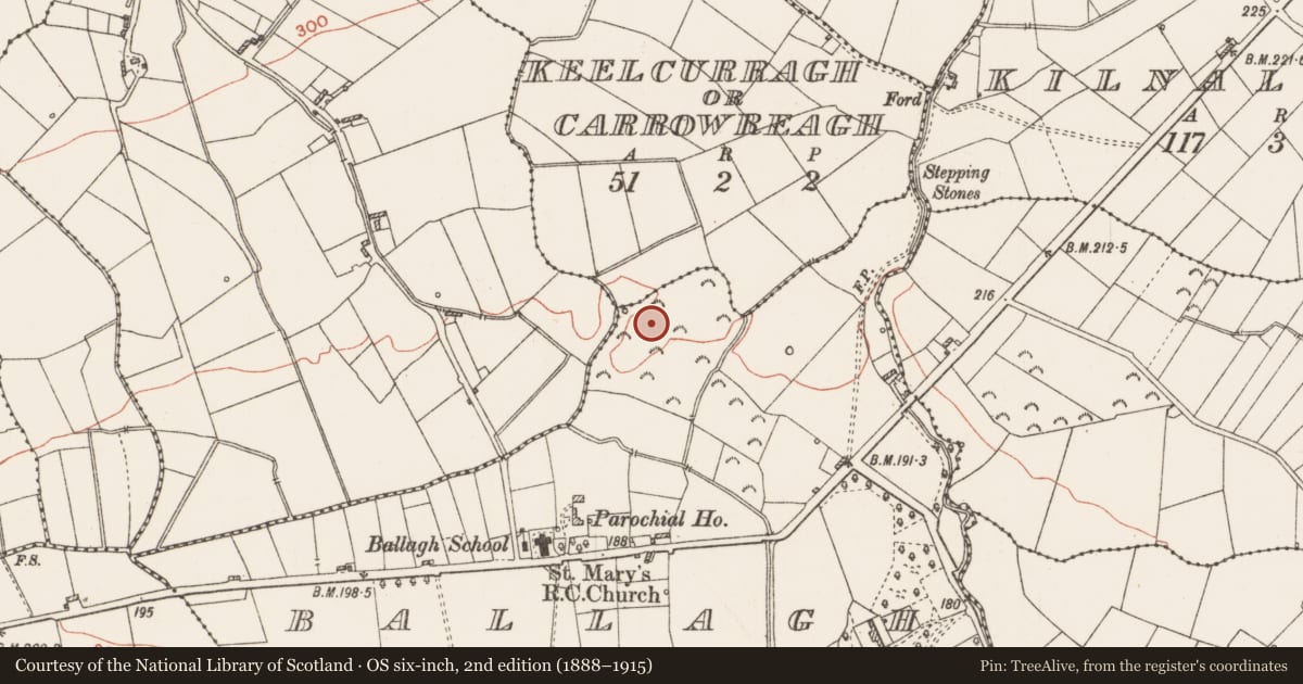 Ordnance Survey six-inch map, 2nd edition (1888–1915) covering the location of Ringfort - rath, Ballagh, County Roscommon, with a pin at the register's coordinates