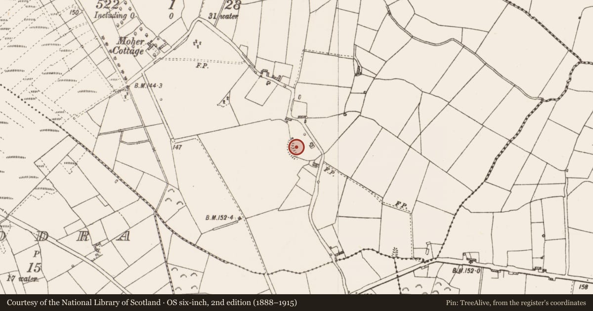 Ordnance Survey six-inch map, 2nd edition (1888–1915) covering the location of Ringfort - rath, Moher, County Roscommon, with a pin at the register's coordinates