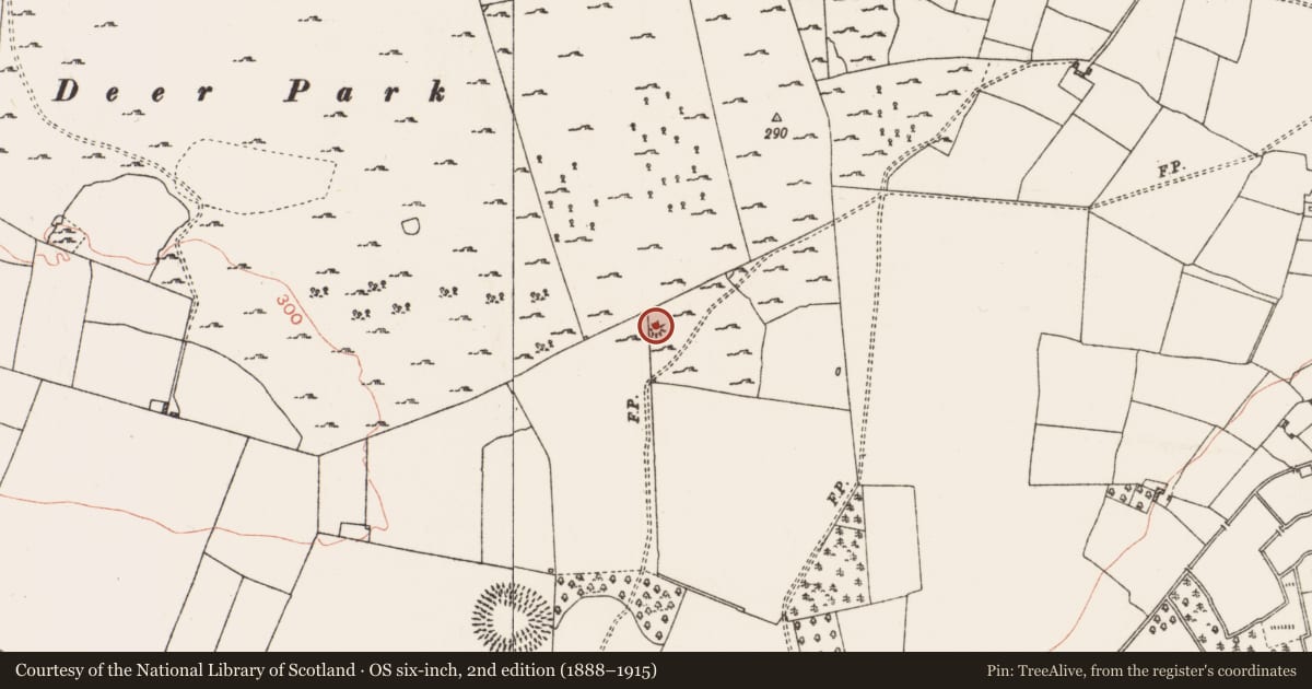 Ordnance Survey six-inch map, 2nd edition (1888–1915) covering the location of Earthwork, Coolteige, County Roscommon, with a pin at the register's coordinates