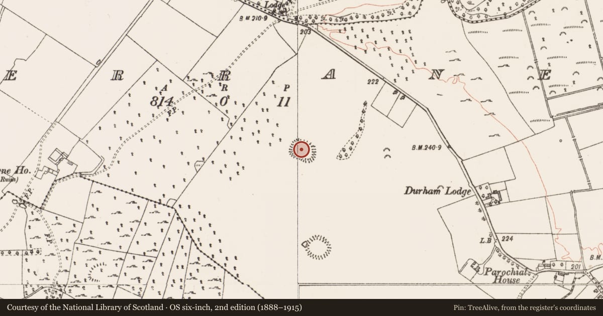 Ordnance Survey six-inch map, 2nd edition (1888–1915) covering the location of Ringfort - rath, Derrane, County Roscommon, with a pin at the register's coordinates