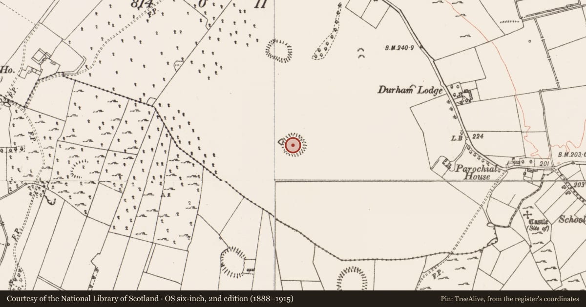 Ordnance Survey six-inch map, 2nd edition (1888–1915) covering the location of Ringfort - rath, Derrane, County Roscommon, with a pin at the register's coordinates