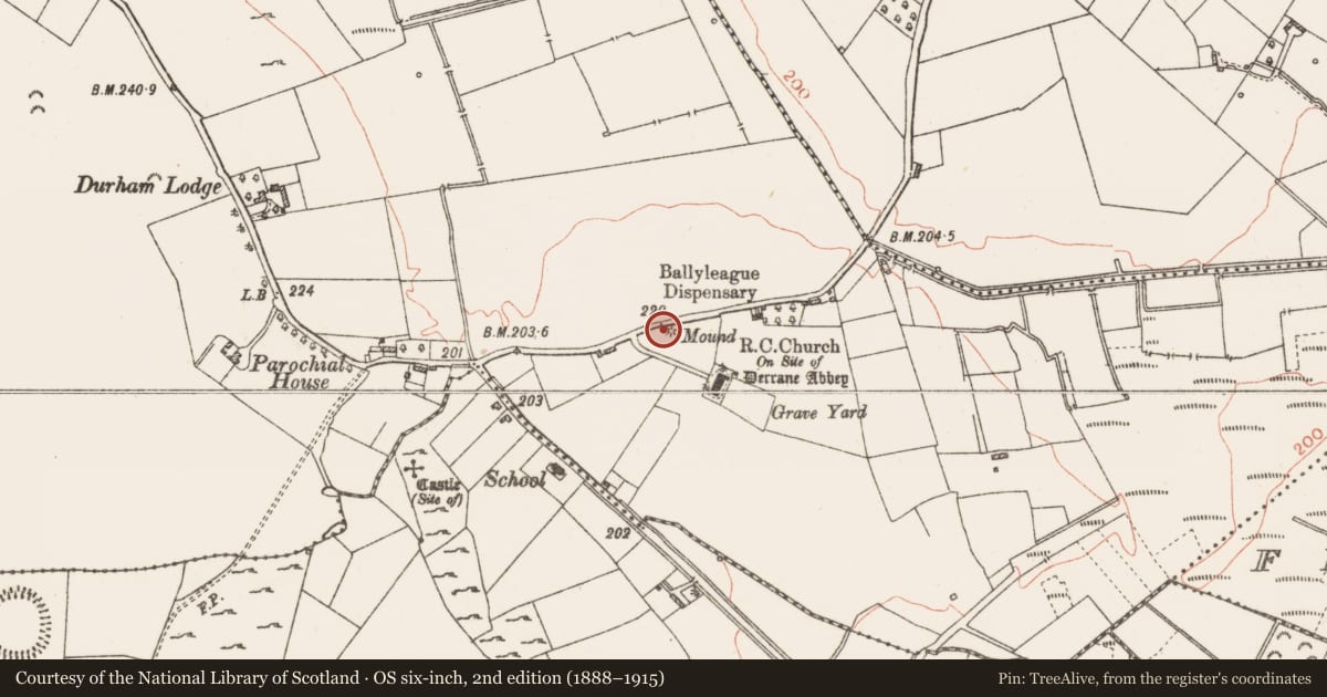 Ordnance Survey six-inch map, 2nd edition (1888–1915) covering the location of Cross - Wayside cross, Derrane, County Roscommon, with a pin at the register's coordinates