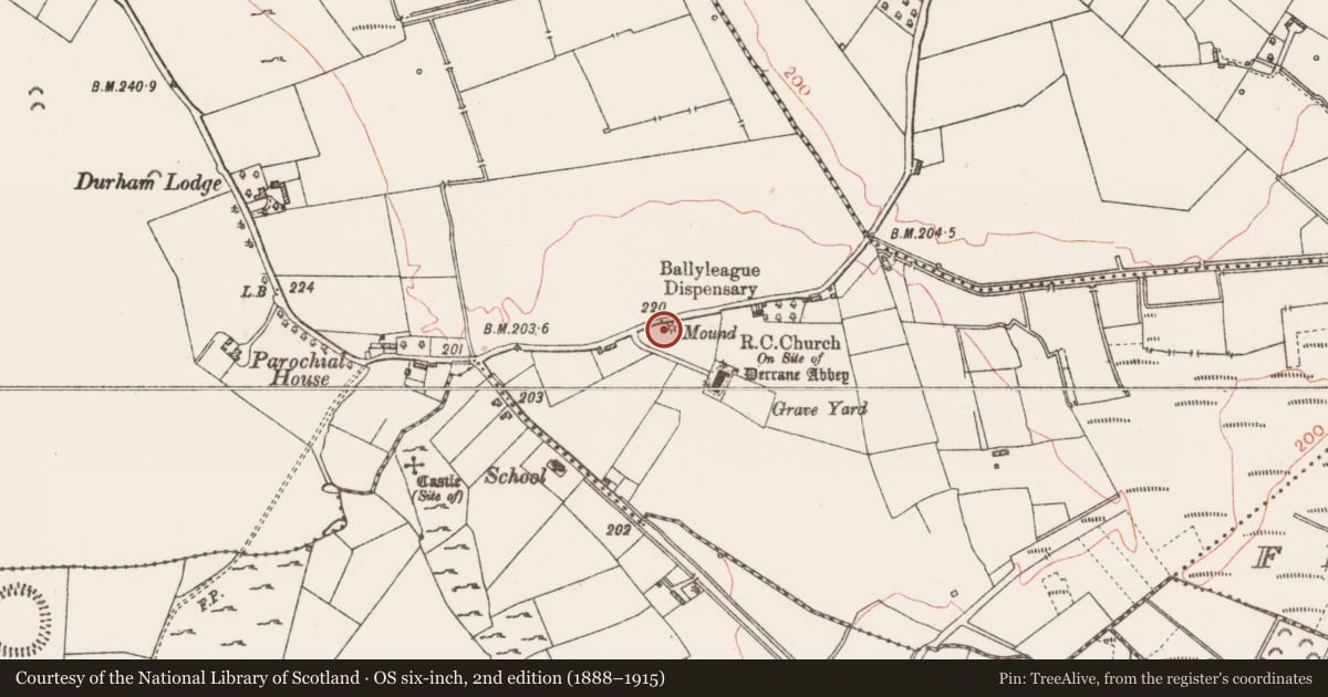 Ordnance Survey six-inch map, 2nd edition (1888–1915) covering the location of Architectural fragment, Derrane, County Roscommon, with a pin at the register's coordinates