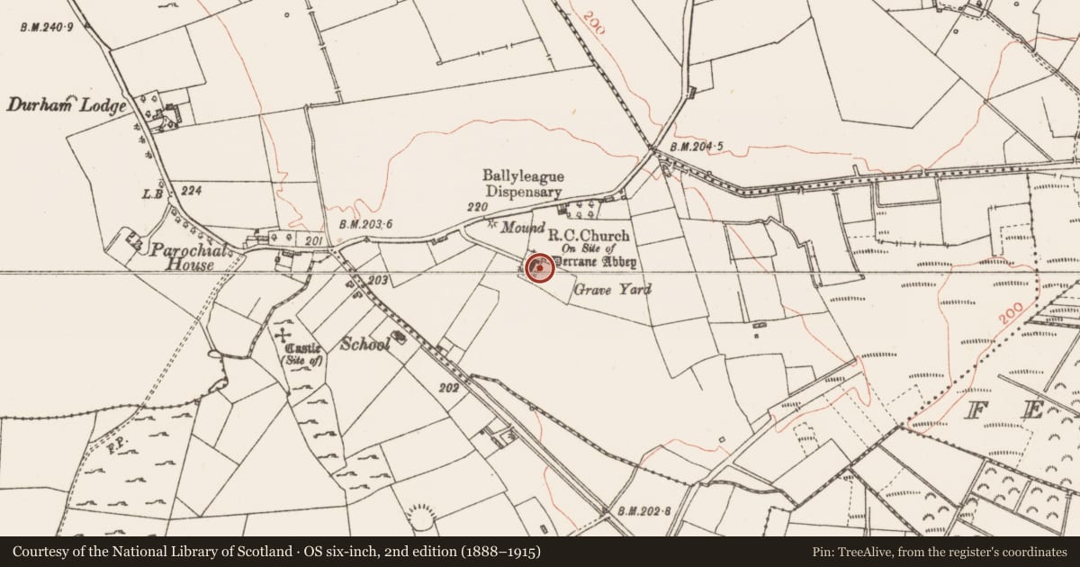 Ordnance Survey six-inch map, 2nd edition (1888–1915) covering the location of Architectural fragment, Derrane, County Roscommon, with a pin at the register's coordinates