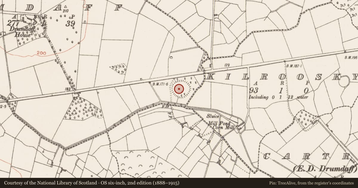 Ordnance Survey six-inch map, 2nd edition (1888–1915) covering the location of Enclosure - large enclosure, Drumdaff, County Roscommon, with a pin at the register's coordinates