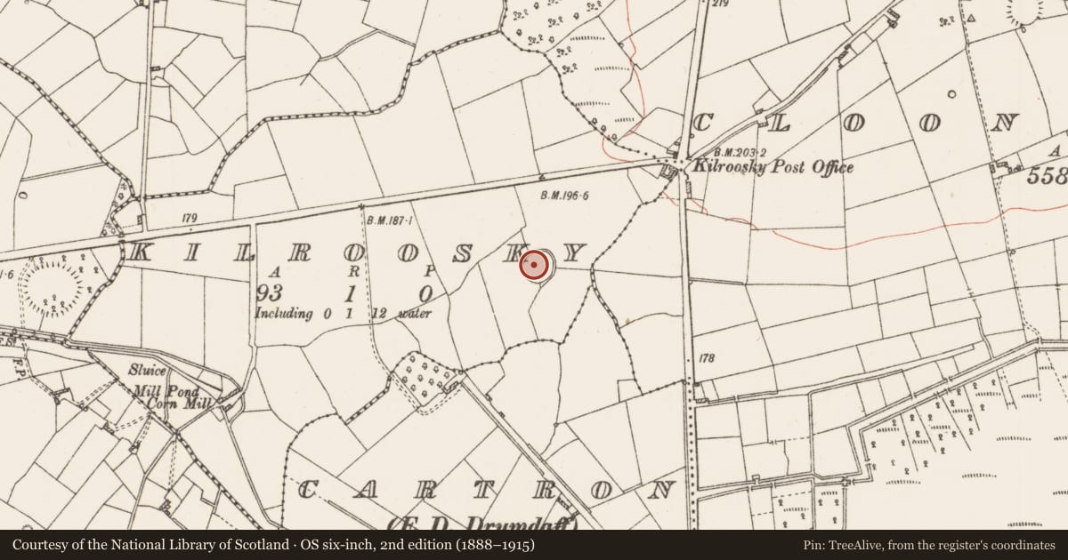 Ordnance Survey six-inch map, 2nd edition (1888–1915) covering the location of Ringfort - rath, Kilroosky, County Roscommon, with a pin at the register's coordinates