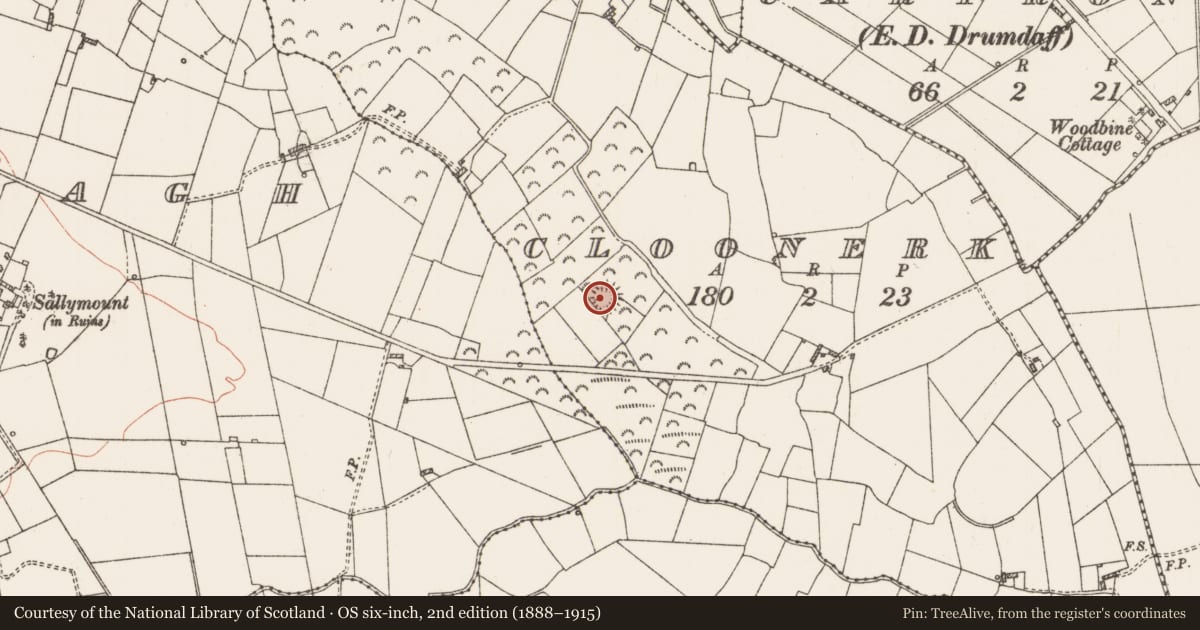 Ordnance Survey six-inch map, 2nd edition (1888–1915) covering the location of Ringfort - rath, Cloonerk, County Roscommon, with a pin at the register's coordinates