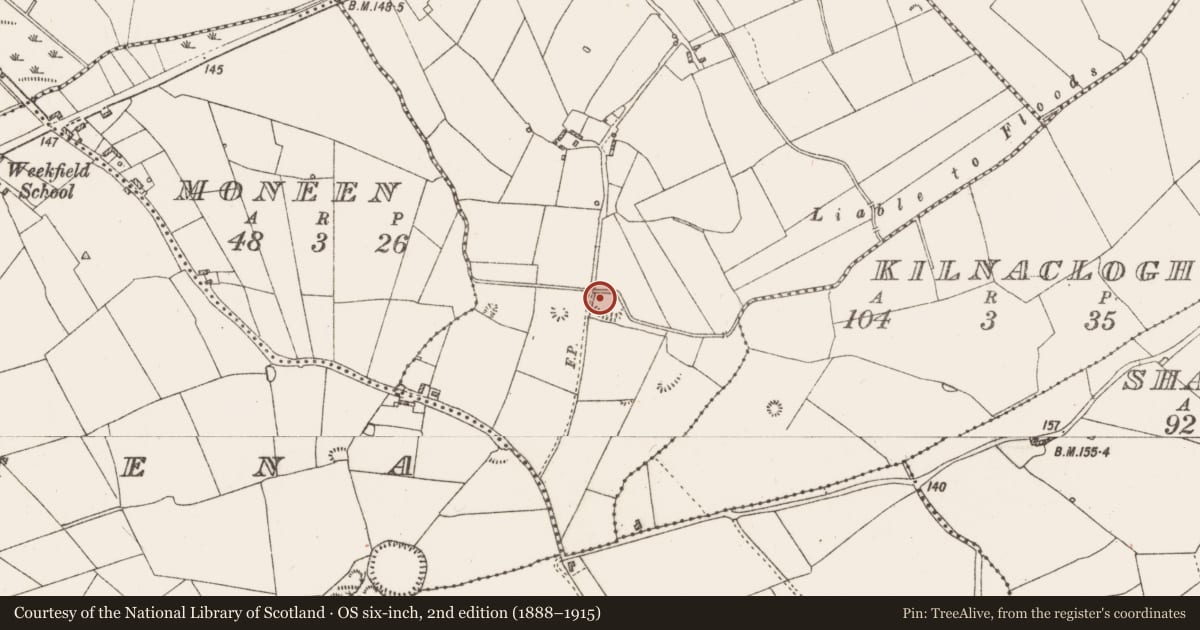 Ordnance Survey six-inch map, 2nd edition (1888–1915) covering the location of Ringfort - rath, Anrittabeg, County Roscommon, with a pin at the register's coordinates