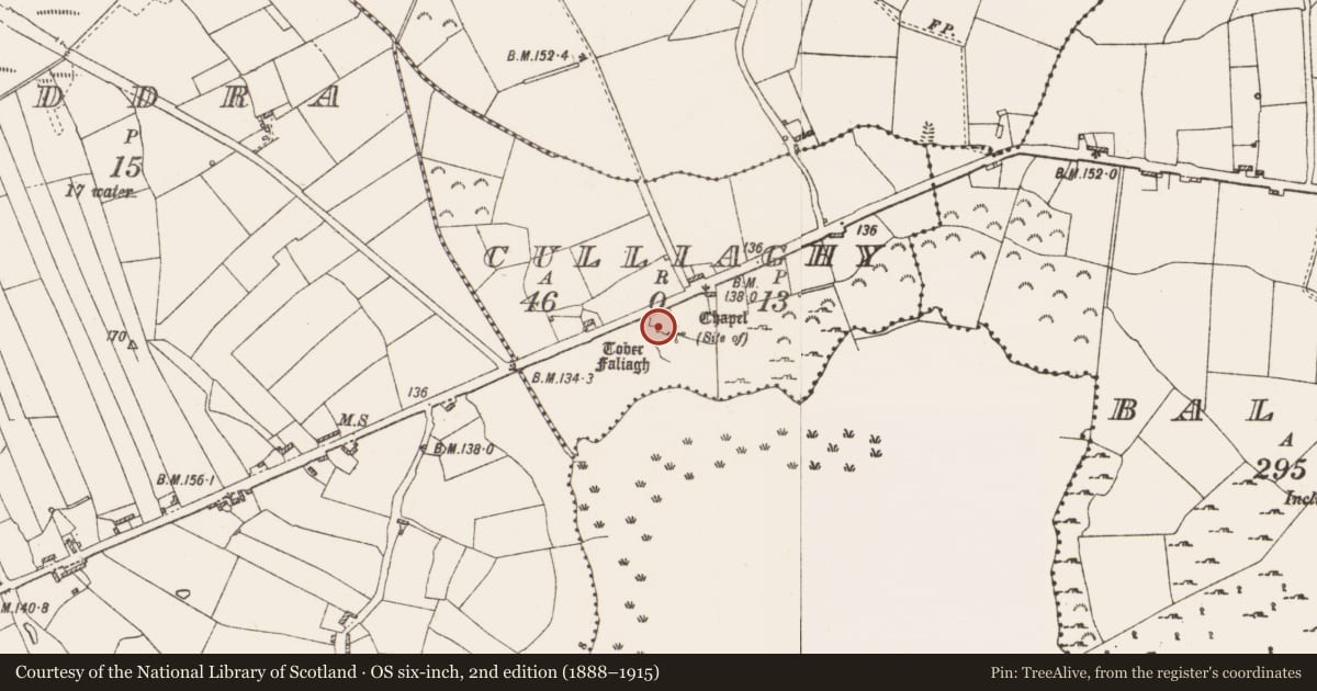 Ordnance Survey six-inch map, 2nd edition (1888–1915) covering the location of Church, Culliaghy, County Roscommon, with a pin at the register's coordinates