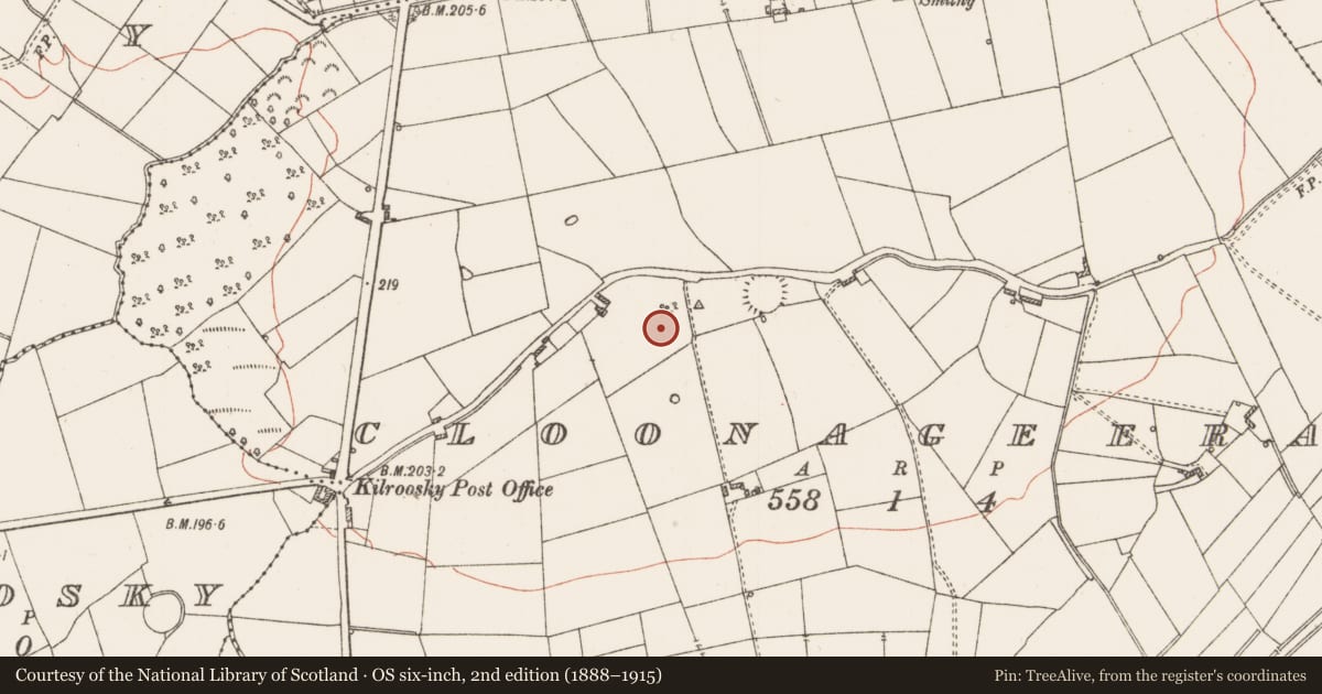 Ordnance Survey six-inch map, 2nd edition (1888–1915) covering the location of Ringfort - rath, Cloonageeragh, County Roscommon, with a pin at the register's coordinates