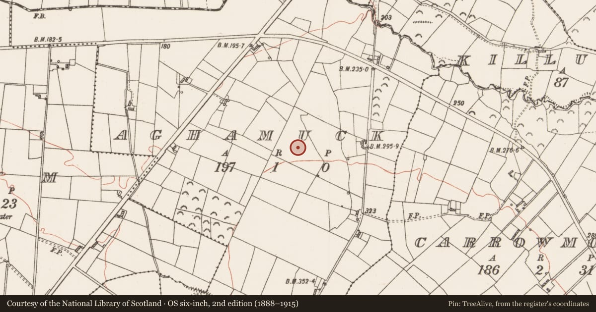 Ordnance Survey six-inch map, 2nd edition (1888–1915) covering the location of Ringfort - rath, Aghamuck, County Roscommon, with a pin at the register's coordinates