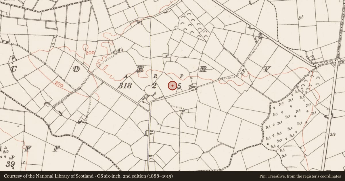 Ordnance Survey six-inch map, 2nd edition (1888–1915) covering the location of Inscribed stone (present location), Corry, County Roscommon, with a pin at the register's coordinates