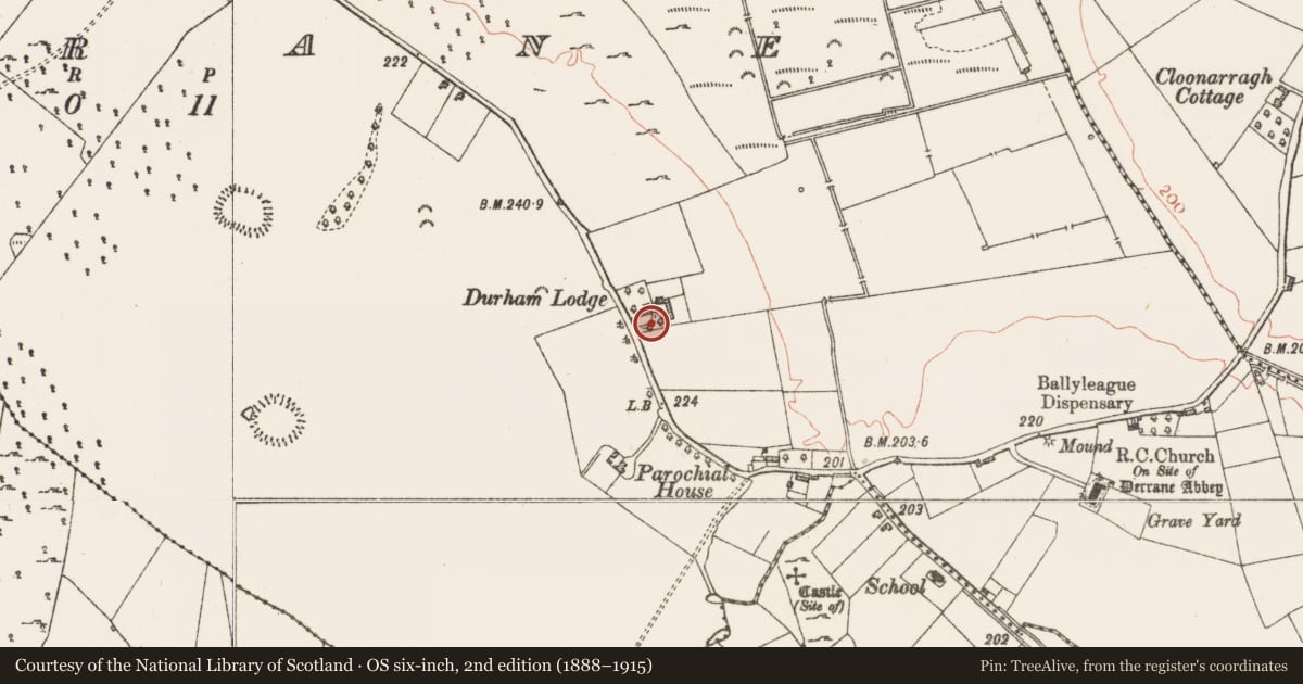 Ordnance Survey six-inch map, 2nd edition (1888–1915) covering the location of Armorial plaque, Derrane, County Roscommon, with a pin at the register's coordinates