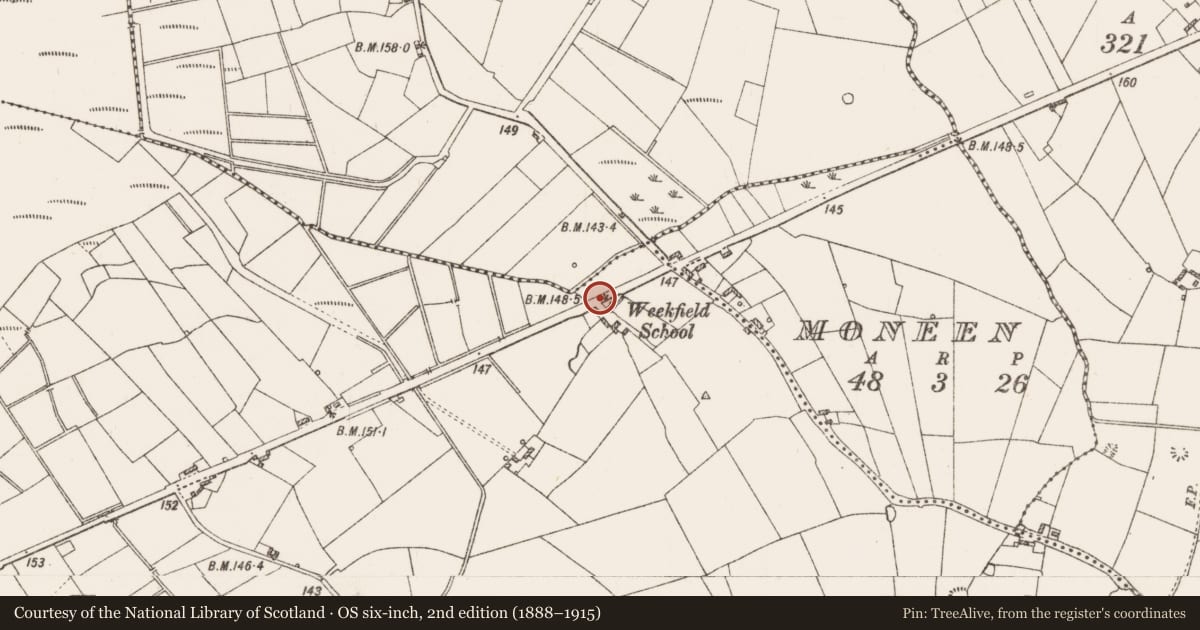 Ordnance Survey six-inch map, 2nd edition (1888–1915) covering the location of Rock scribing - folk art, Coolshaghtena, County Roscommon, with a pin at the register's coordinates