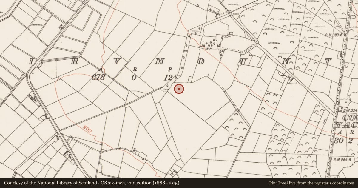 Ordnance Survey six-inch map, 2nd edition (1888–1915) covering the location of Enclosure, Fairymount, County Roscommon, with a pin at the register's coordinates
