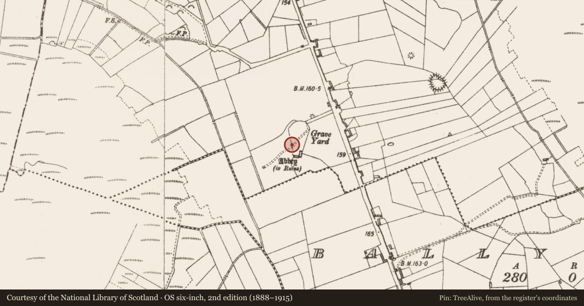 Ordnance Survey six-inch map, 2nd edition (1888–1915) covering the location of Cross-slab, Cloontuskert, County Roscommon, with a pin at the register's coordinates