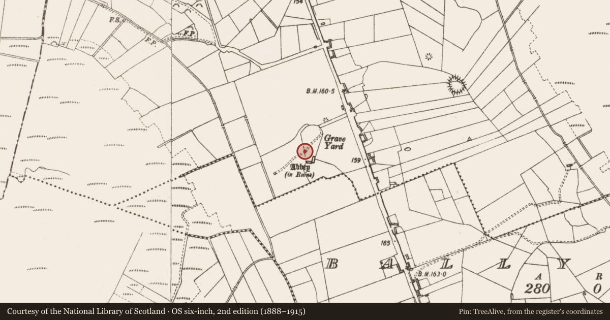 Ordnance Survey six-inch map, 2nd edition (1888–1915) covering the location of Cross-inscribed stone, Cloontuskert, County Roscommon, with a pin at the register's coordinates