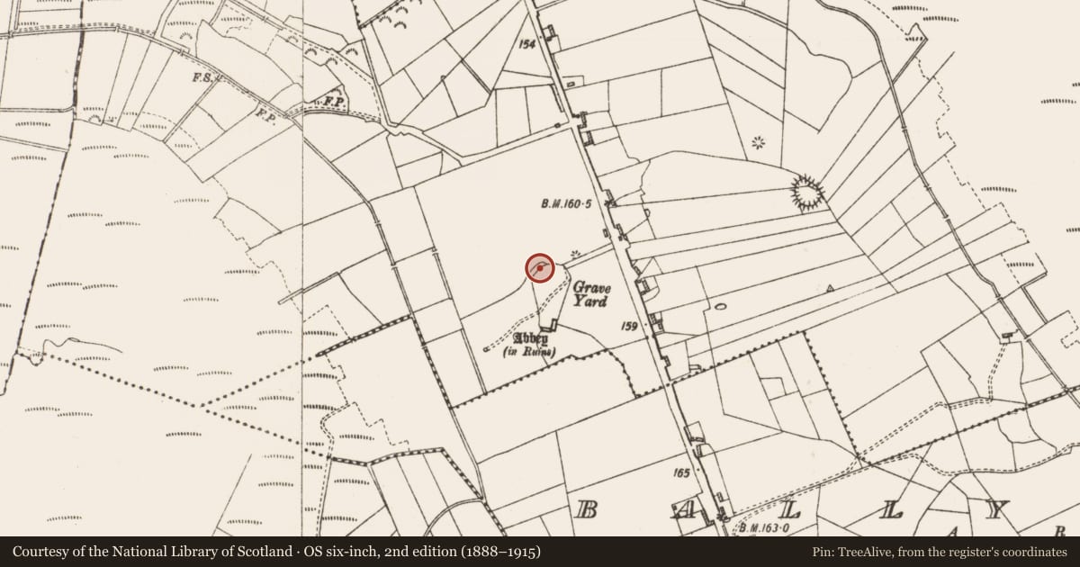 Ordnance Survey six-inch map, 2nd edition (1888–1915) covering the location of Cross-slab, Cloontuskert, County Roscommon, with a pin at the register's coordinates