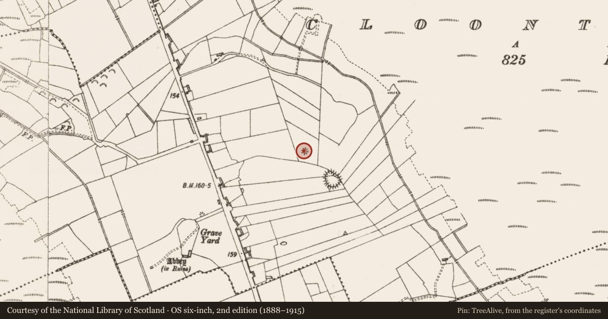 Ordnance Survey six-inch map, 2nd edition (1888–1915) covering the location of Quarry, Cloontuskert, County Roscommon, with a pin at the register's coordinates