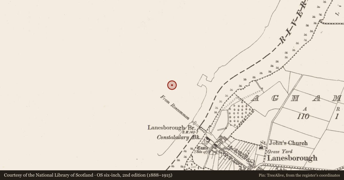 Ordnance Survey six-inch map, 2nd edition (1888–1915) covering the location of Castle - tower house, Ballyleague, County Roscommon, with a pin at the register's coordinates