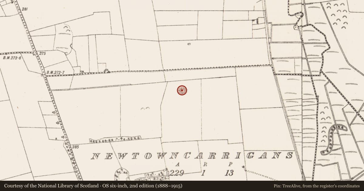 Ordnance Survey six-inch map, 2nd edition (1888–1915) covering the location of Ringfort - rath, Newtowncarrigans, County Roscommon, with a pin at the register's coordinates